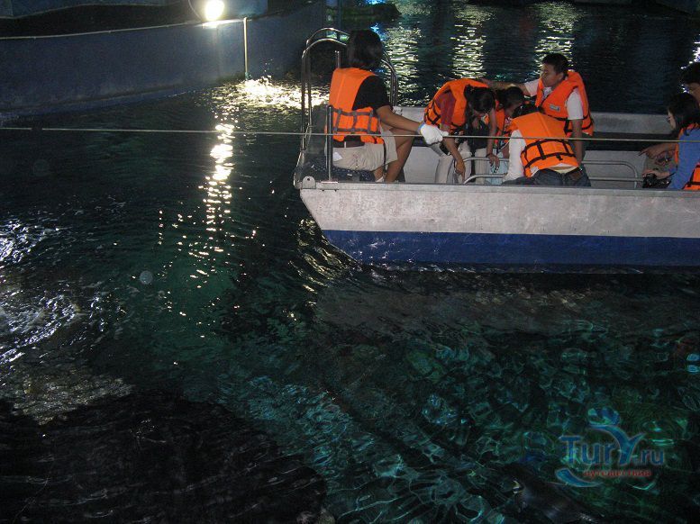 Океанариум Siam Ocean World