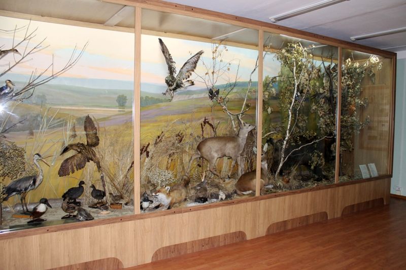 Вейделевский краеведческий музей