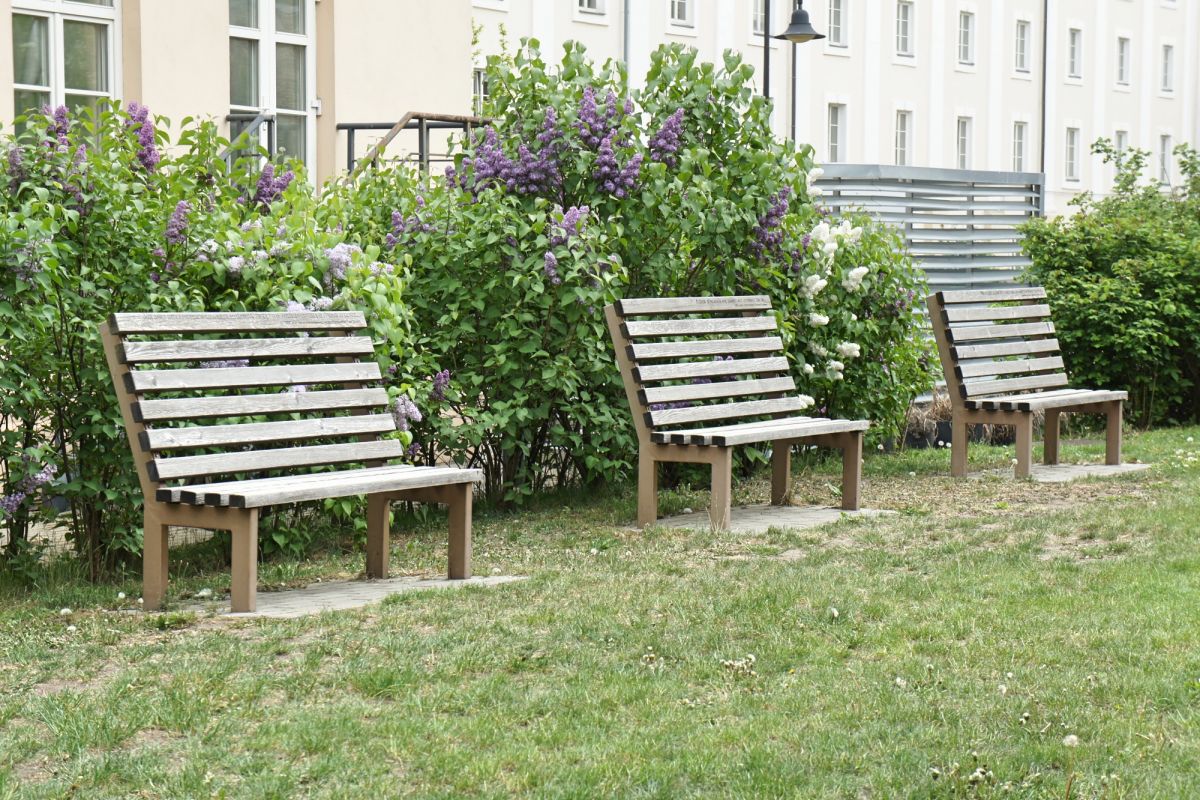 Сад Идей (Idėjų Sodas)