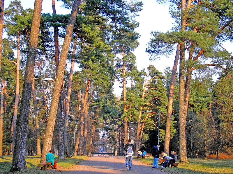 Парк Вингис (Vingio parkas)