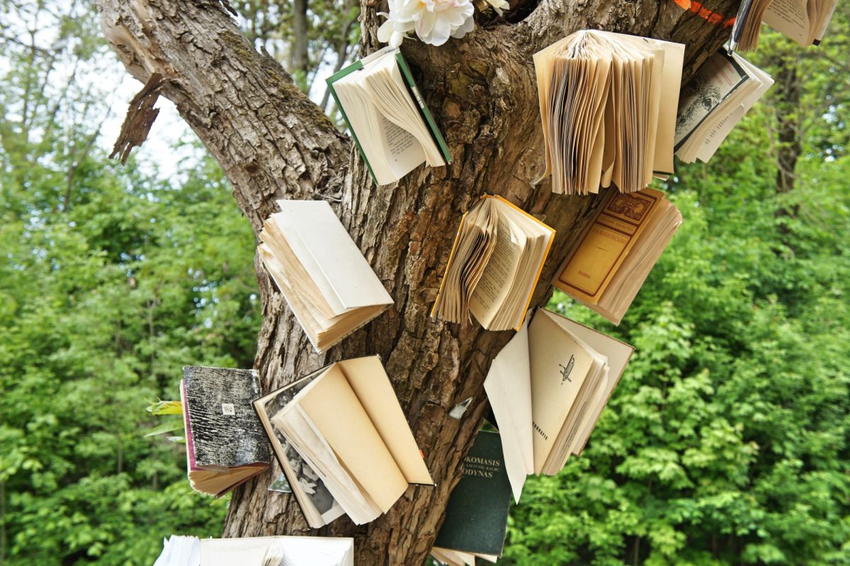 Ужупис Арт Инкубатор (Галерея UMI)