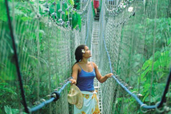 Тропический лес Фалеалупо