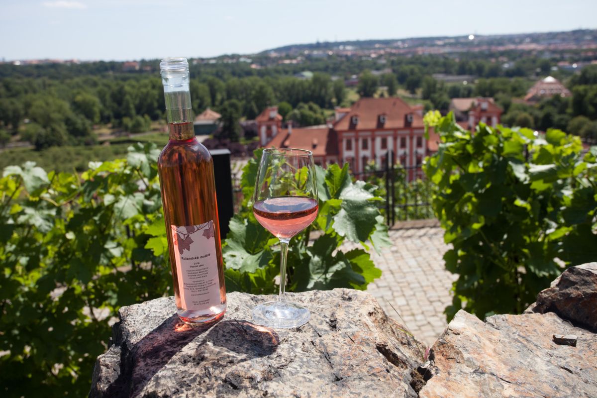 Винотека св. Клара (Vinotéka sv. Klára)