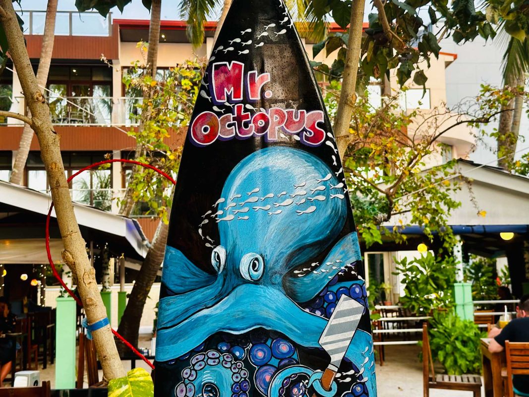 Mr.Octopus - Your holiday Chef