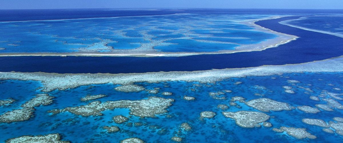 Большой Барьерный Риф