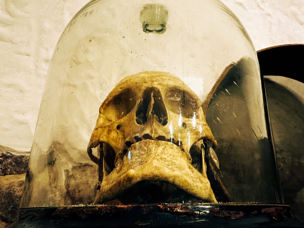 Аптекарский музей во Вроцлаве