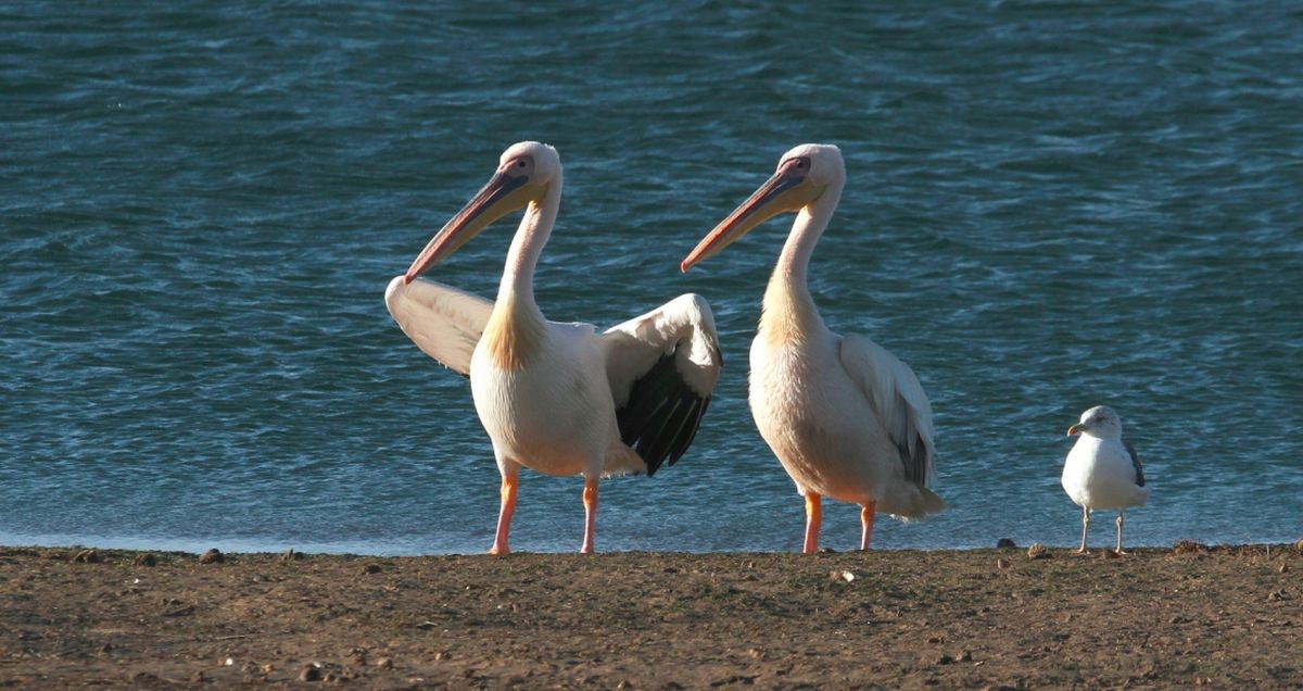 Национальный парк Банк-д’Арген