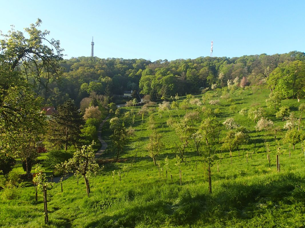 Большой страговский сад