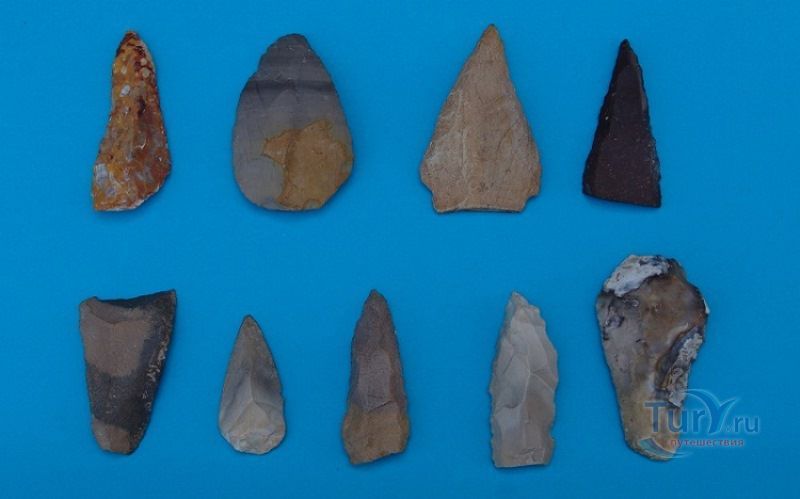 Музей доисторической антропологии