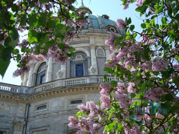 Мраморная церковь (Церковь Фредерика)