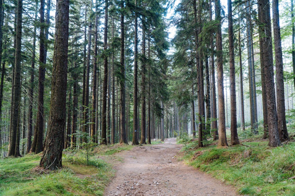 Карконошеский национальный парк