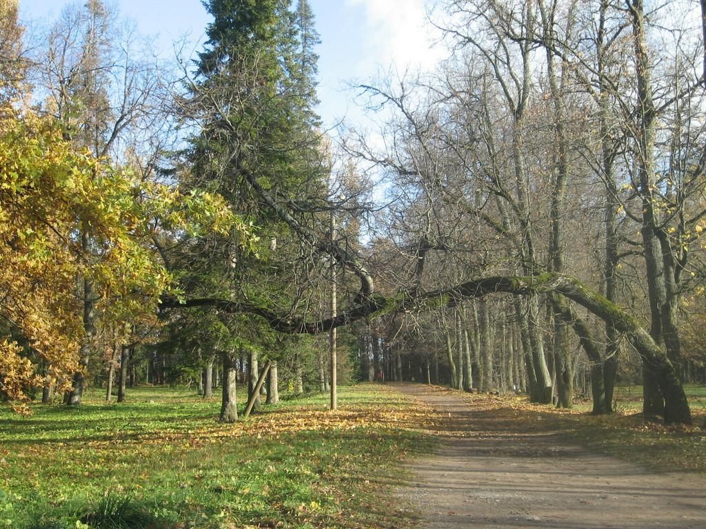 Парк поместья Луунья