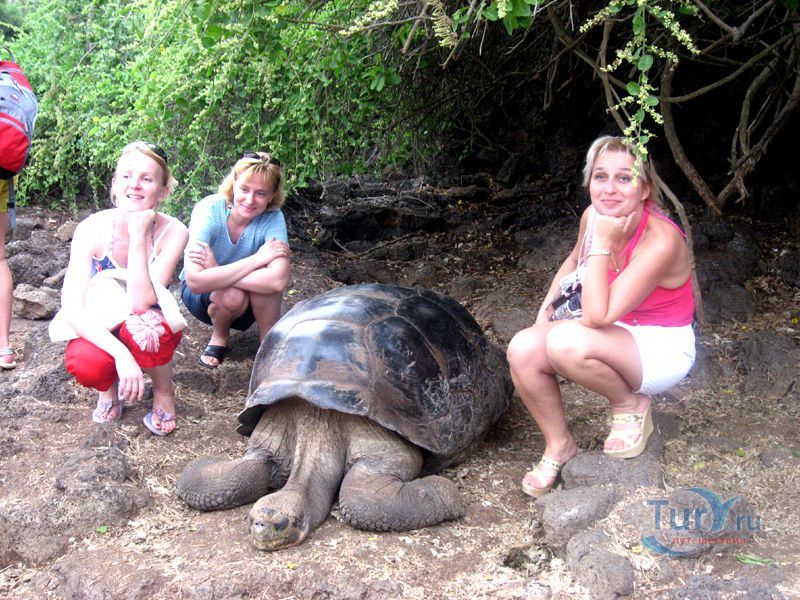 Галапагосский Национальный парк и Станция Чарльза Дарвина