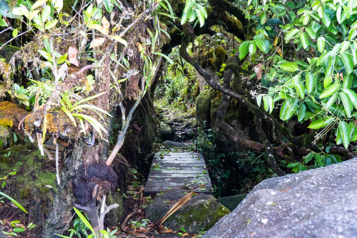 Морн Блан Трейл