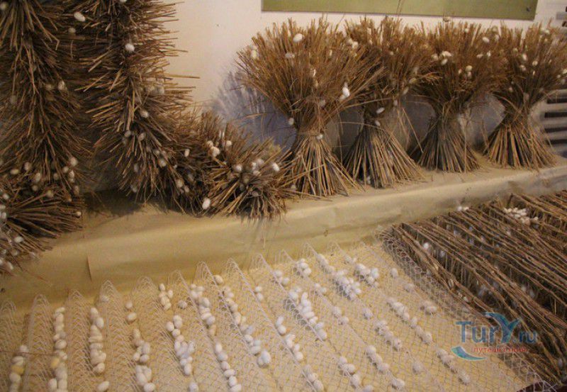 Музей Шёлка В Сучжоу