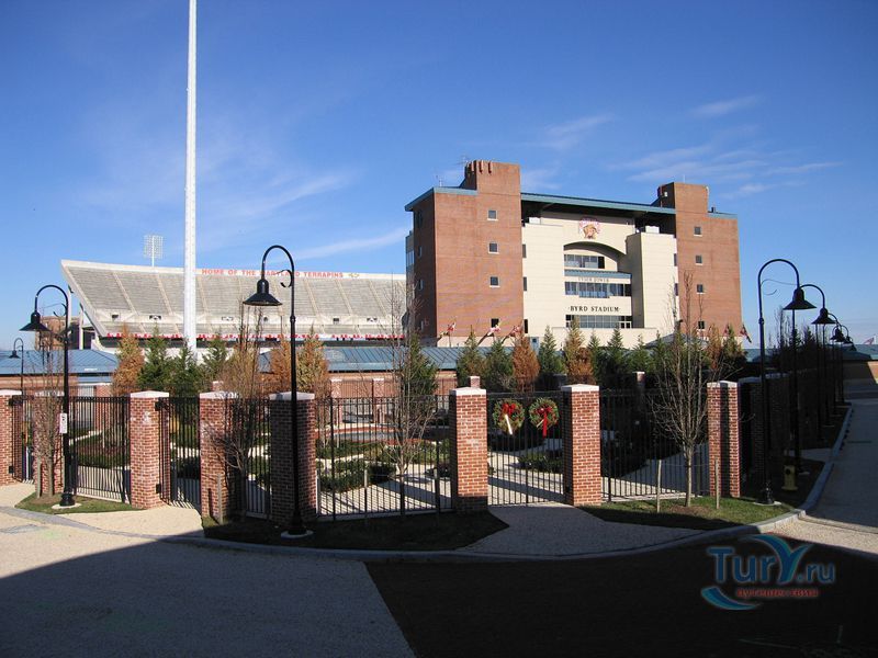 Бёрд Стэдиум