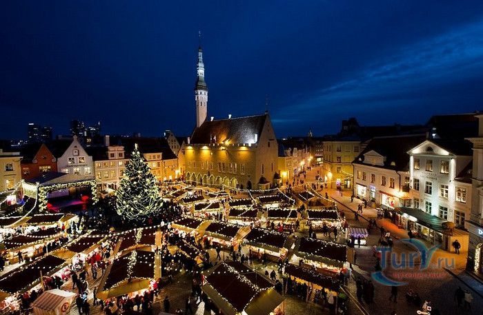 Таллиннская Ратуша