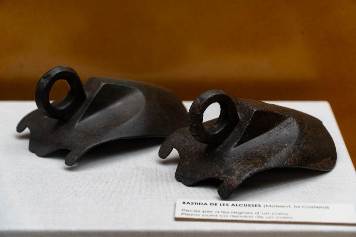 Музей доисторической эпохи Валенсии