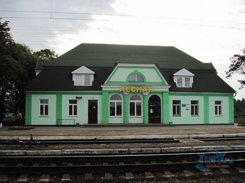 Железнодорожная станция Лесная