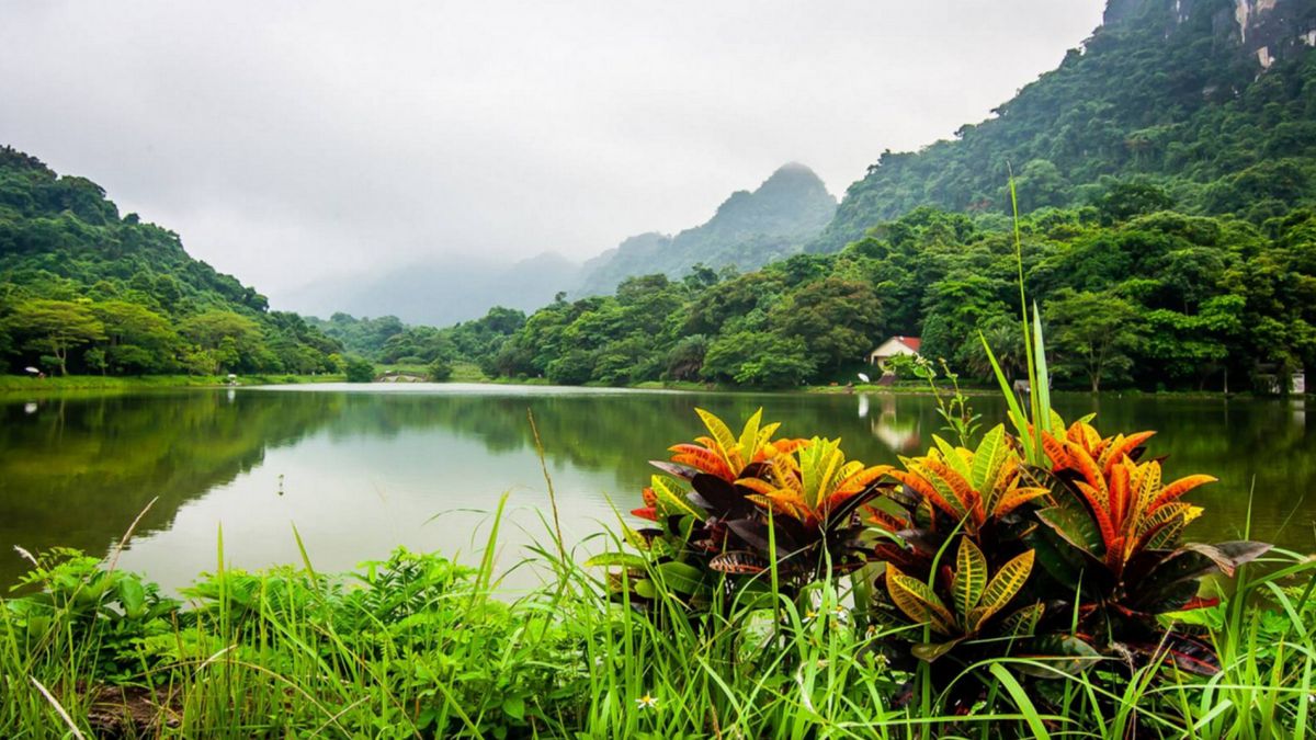Национальный парк Кук Фыонг