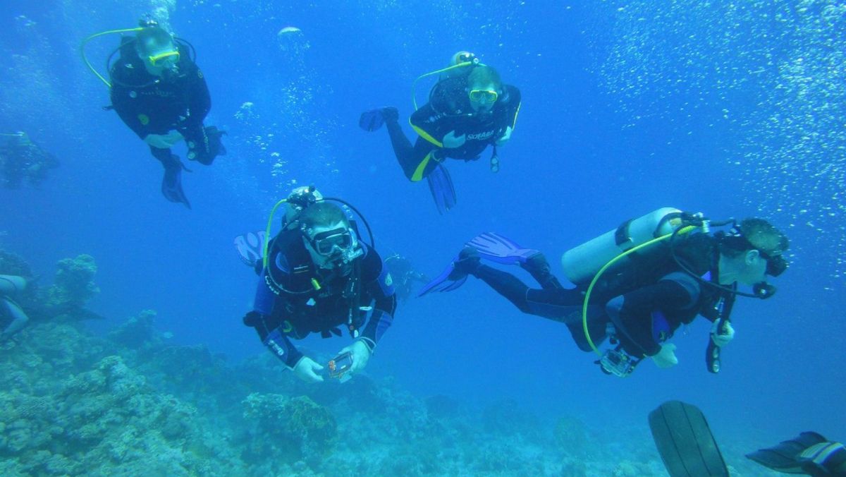 Дайвинг клуб Морской Кот