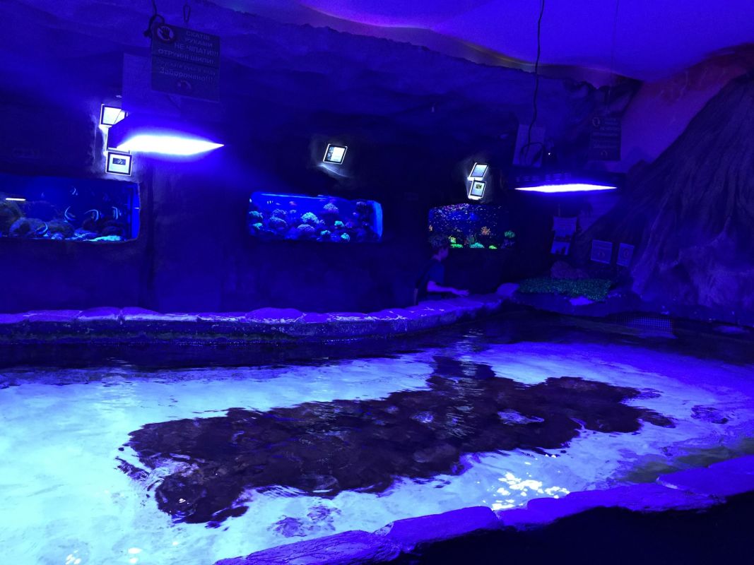 Океанариум Морская Сказка в Киеве