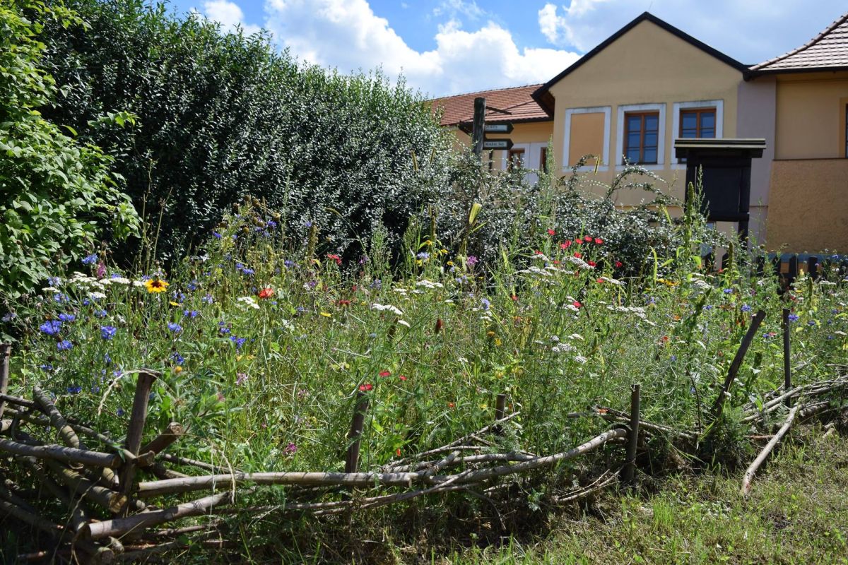Экологический центр в Праге