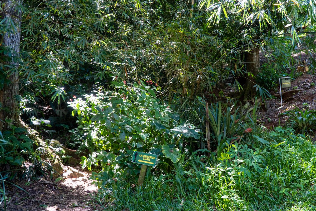 Гласис Ла Резерв Трейл