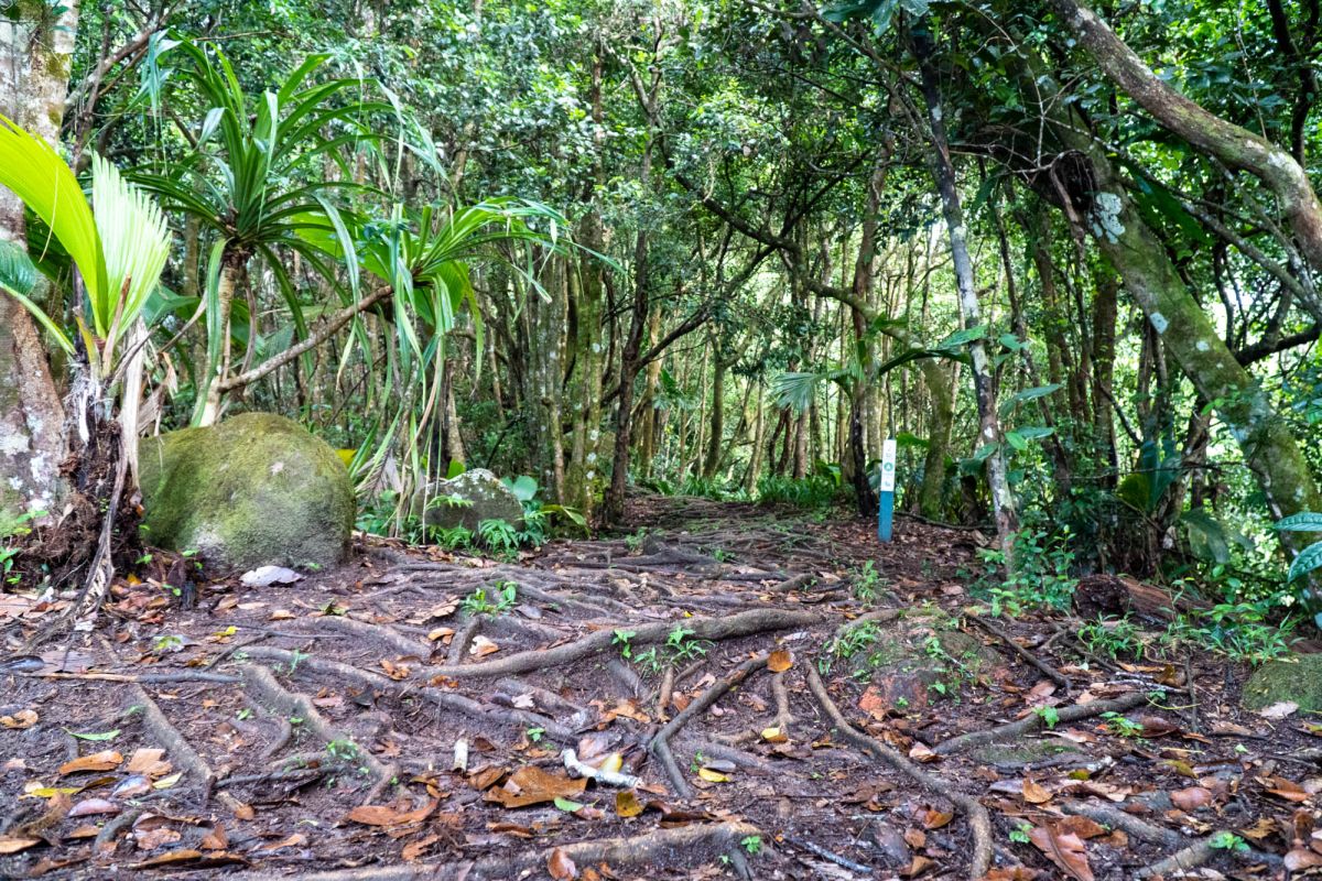 Национальный парк Морн Сейшелуа