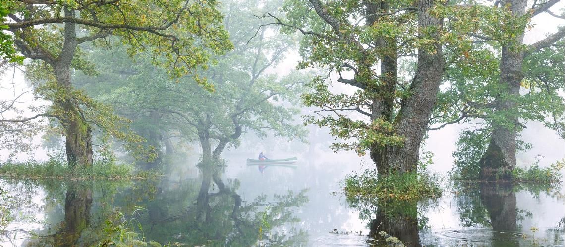 Краткое знакомство с Эстонией фото