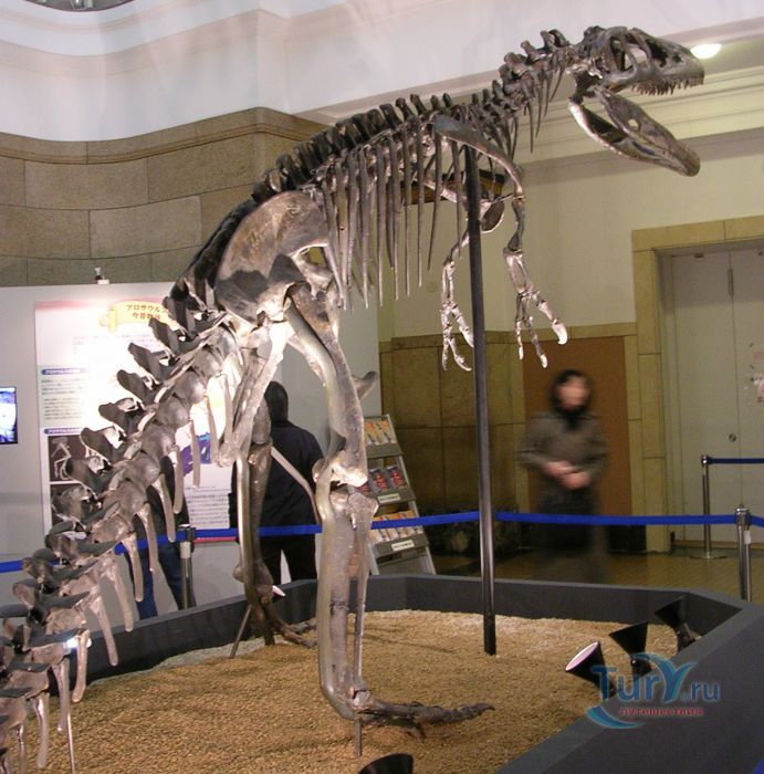 Национальный научный музей