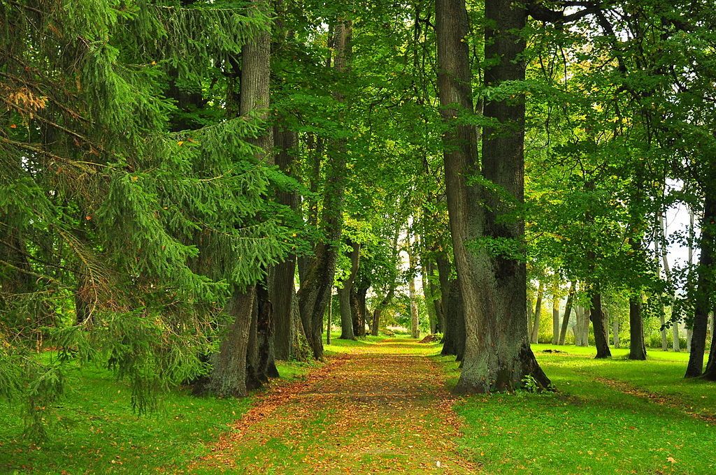 Мызный комплекс Палупера