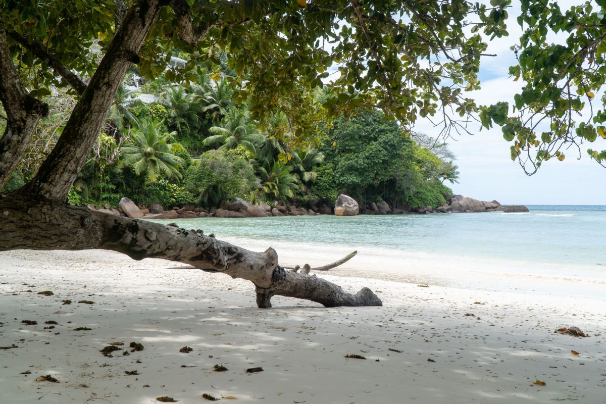 Пляж Анс Такамака