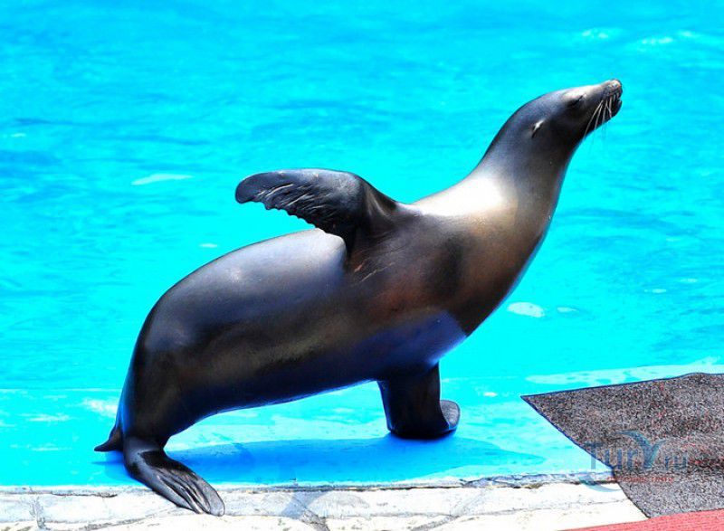 Морской Парк Лаохутань 