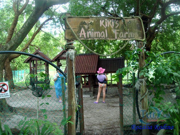 Ферма Kikis Animal Farm при отеле Pelangi Beach Resort