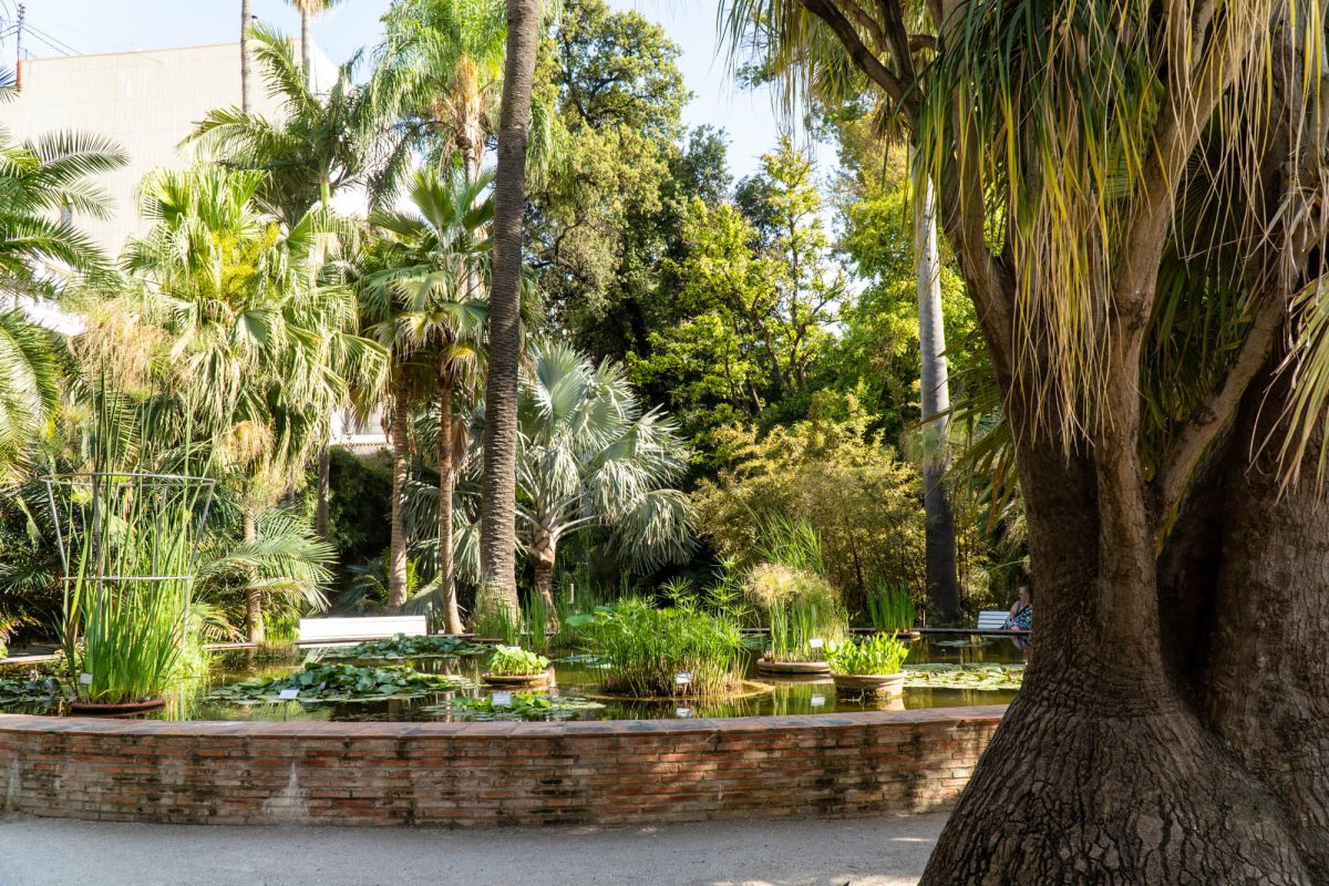Ботанический сад Валенсии