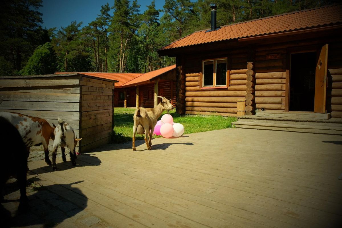 Банный домик Ella и баня-бочка