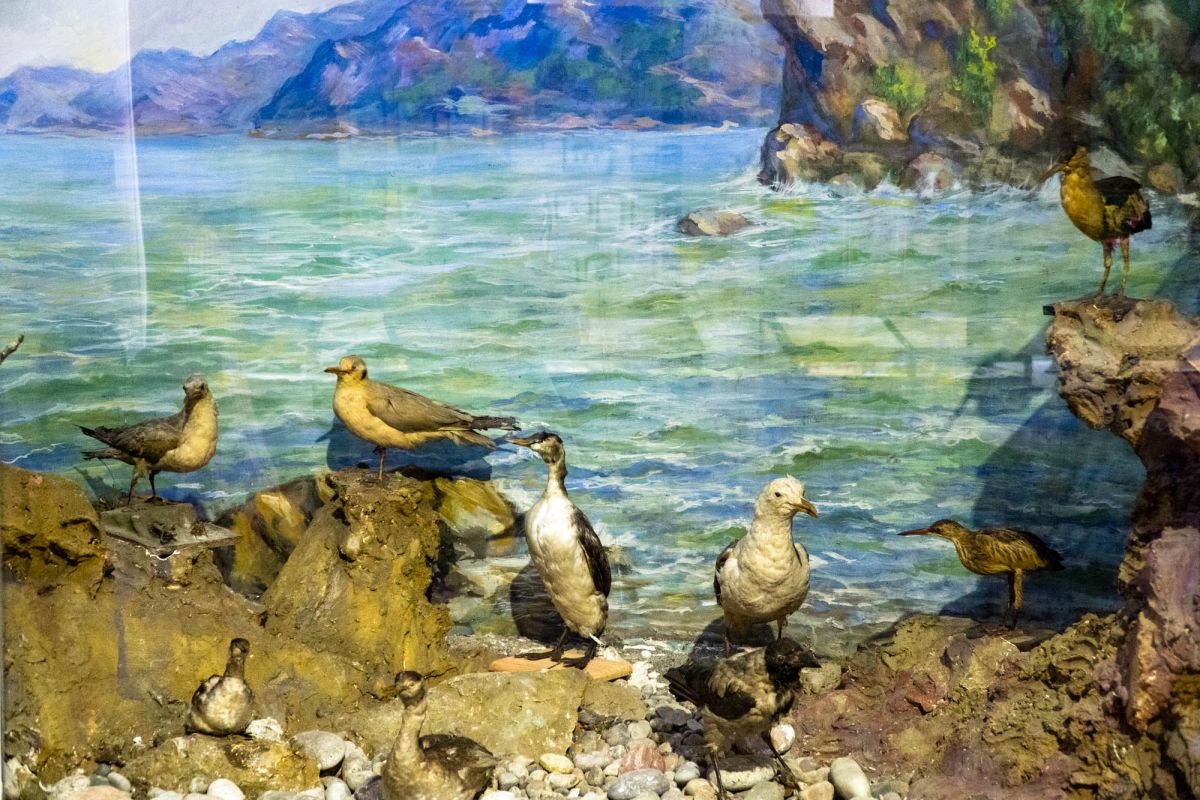 Государственный Музей Аджарии имени Харитона Ахвледиани