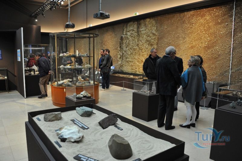 Музей доисторической антропологии