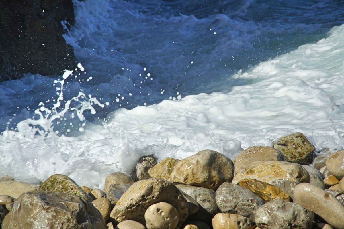 Камперван Дэй Парк