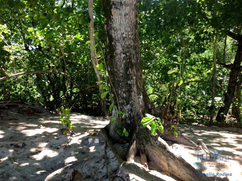 Пляж Бо-Валлон