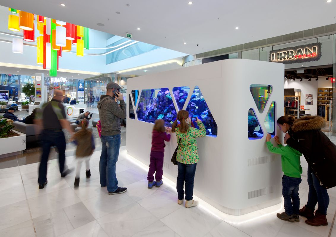 Центр «Черный мост»