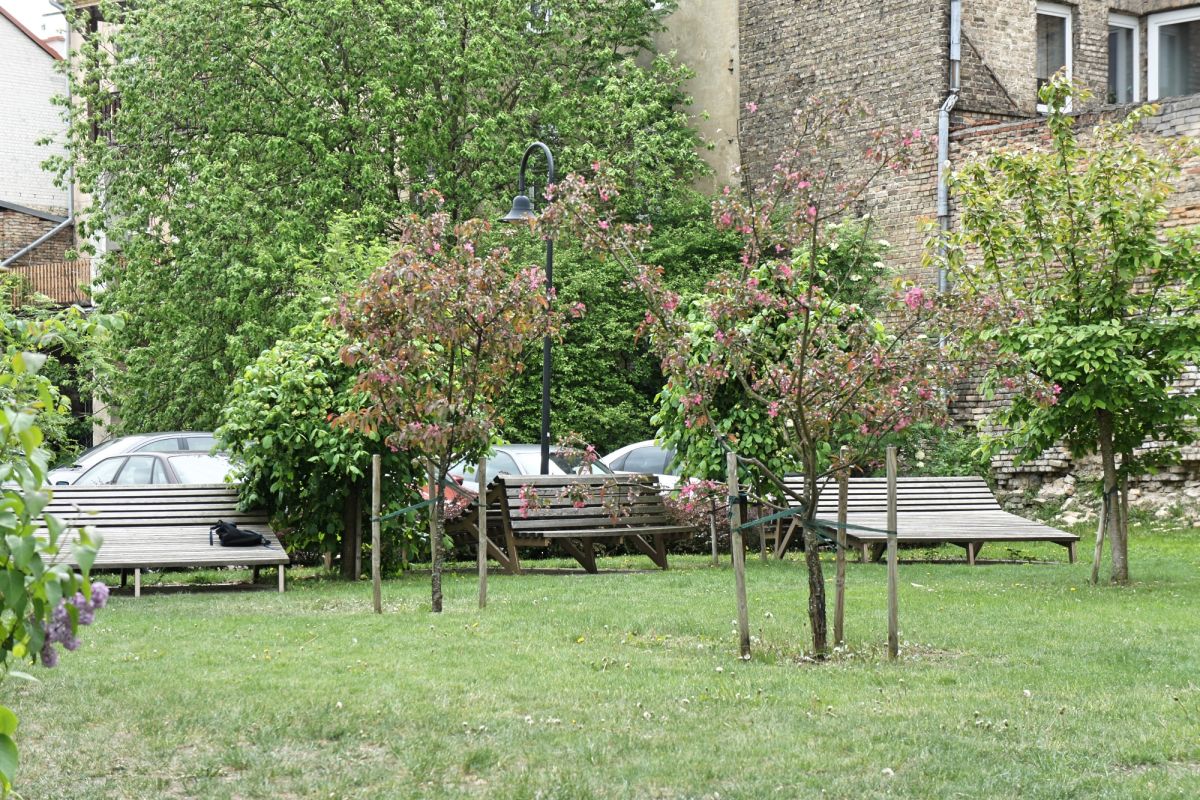 Сад Идей (Idėjų Sodas)