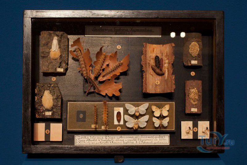 Музей современного искусства Загреба