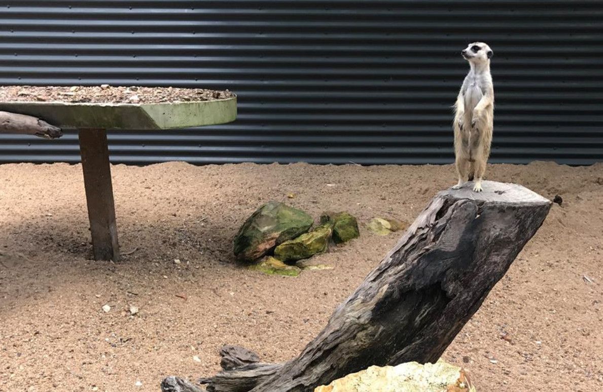 Парк Крокодилов