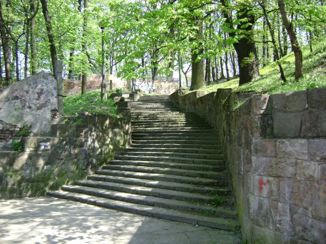 Парк Беднарского