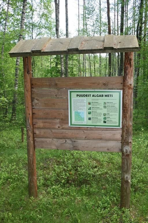 Музей сету в Саатсе