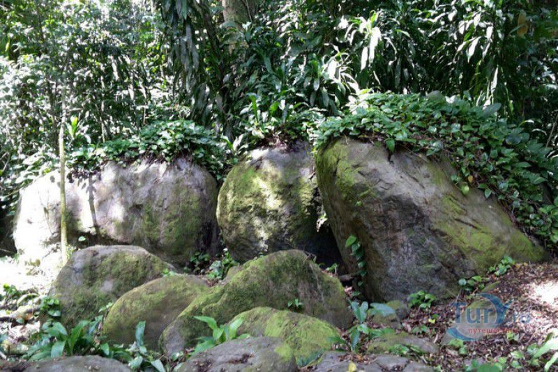 Плантация Абитасьон Серон