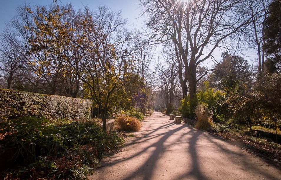 Королевский ботанический сад Мадрида