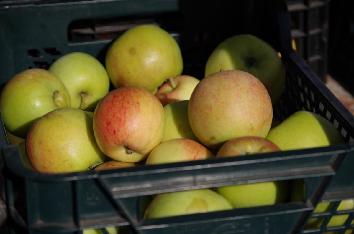 Центральный рынок Тарту